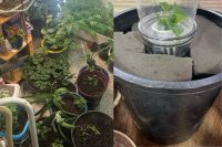 Tiller of the Earth: Sustainable Gardening & Soil Enrichment for Better Yields